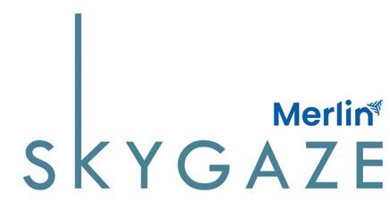 Merlin Skygaze